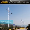 Wind Solar Hybrid Street Light/Wind Solar Hybrid Street Lamp